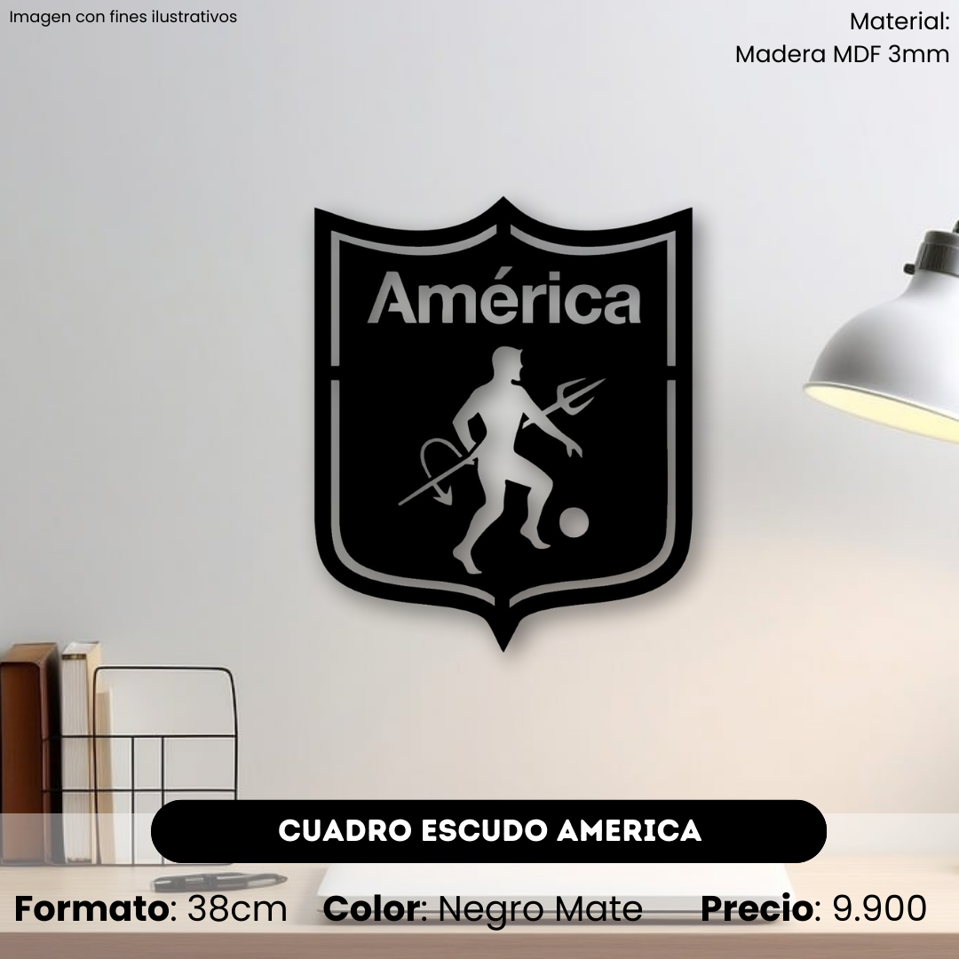 Cuadro Escudo América
