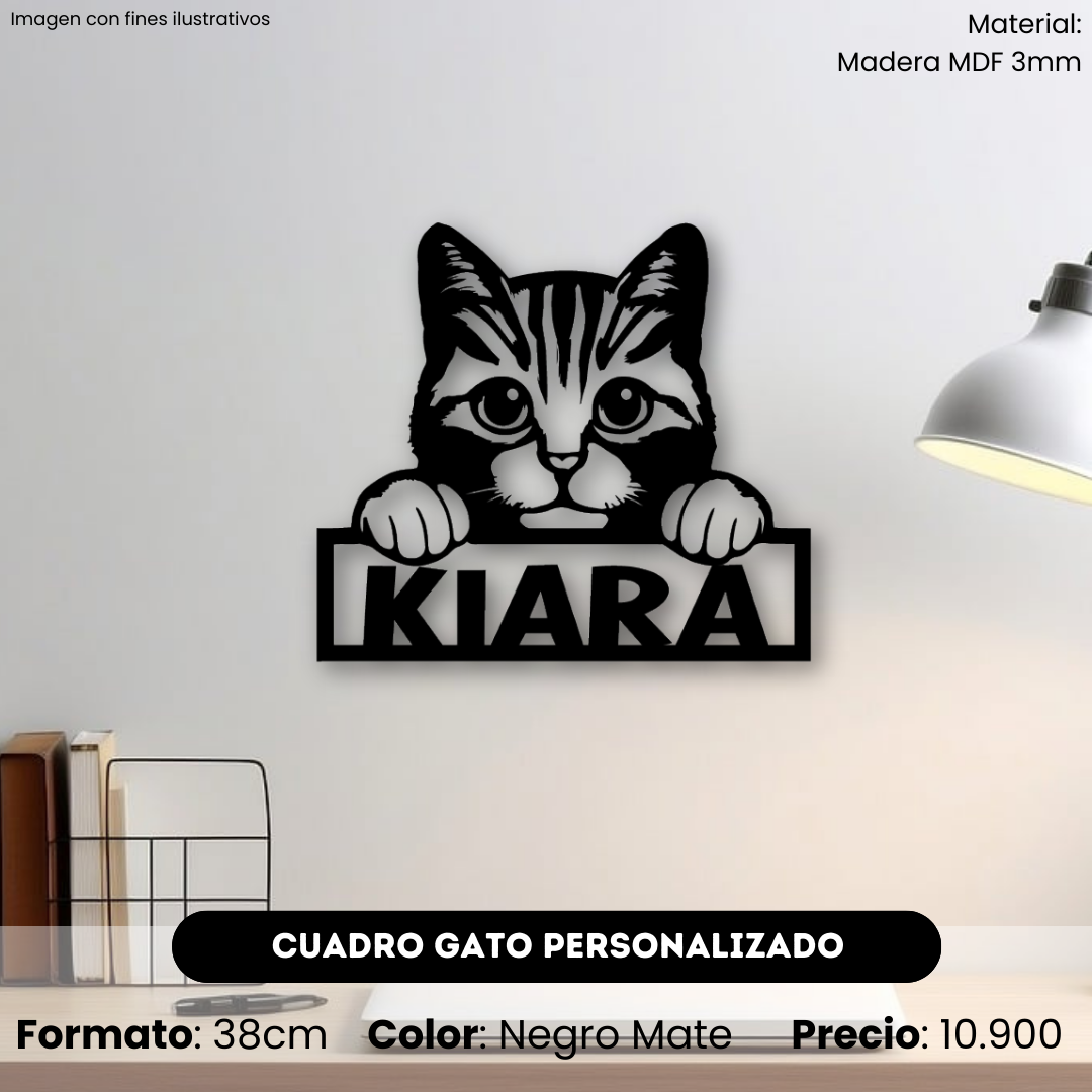 Cuadro Gato Con Nombre Personalizado