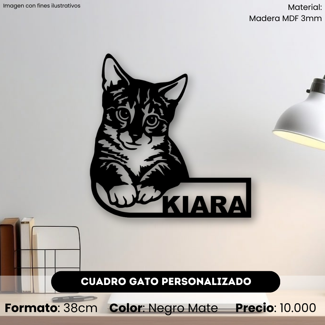 Cuadro Gato Con Nombre Personalizado
