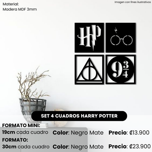 Set de 4 cuadros de Harry Potter