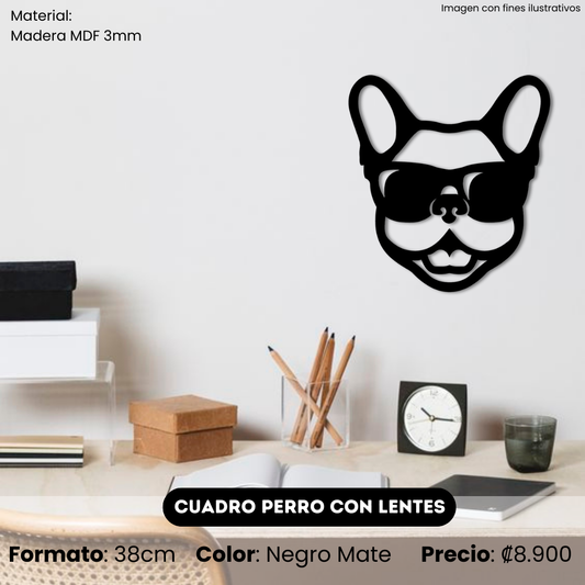 Cuadro Perro con Lentes