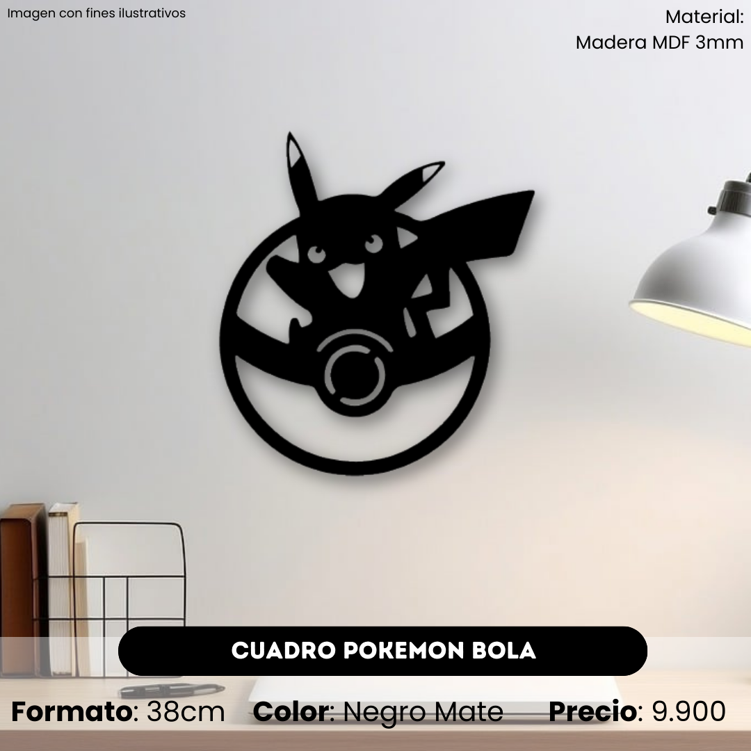 Cuadro Pokemon Bola