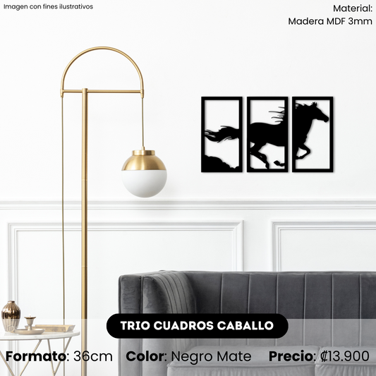 Set Trio Cuadros Caballo