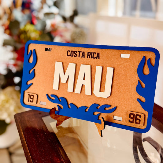 Placas Personalizadas